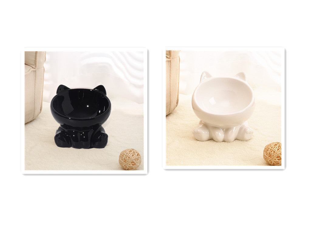 Tilted Ceramic Pet Bowl — Anti-Vomit Raised Feeder