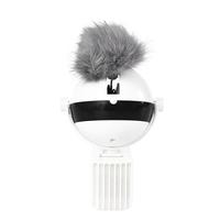 Interactive Electronic Cat Toy with Motion