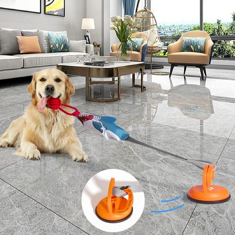 Shark Shaped Interactive Pet Toy with Suction Cup