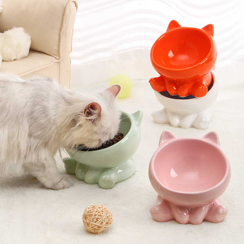 Tilted Ceramic Pet Bowl — Anti-Vomit Raised Feeder