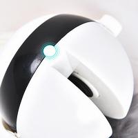 Interactive Electronic Cat Toy with Motion