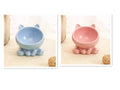 Tilted Ceramic Pet Bowl — Anti-Vomit Raised Feeder