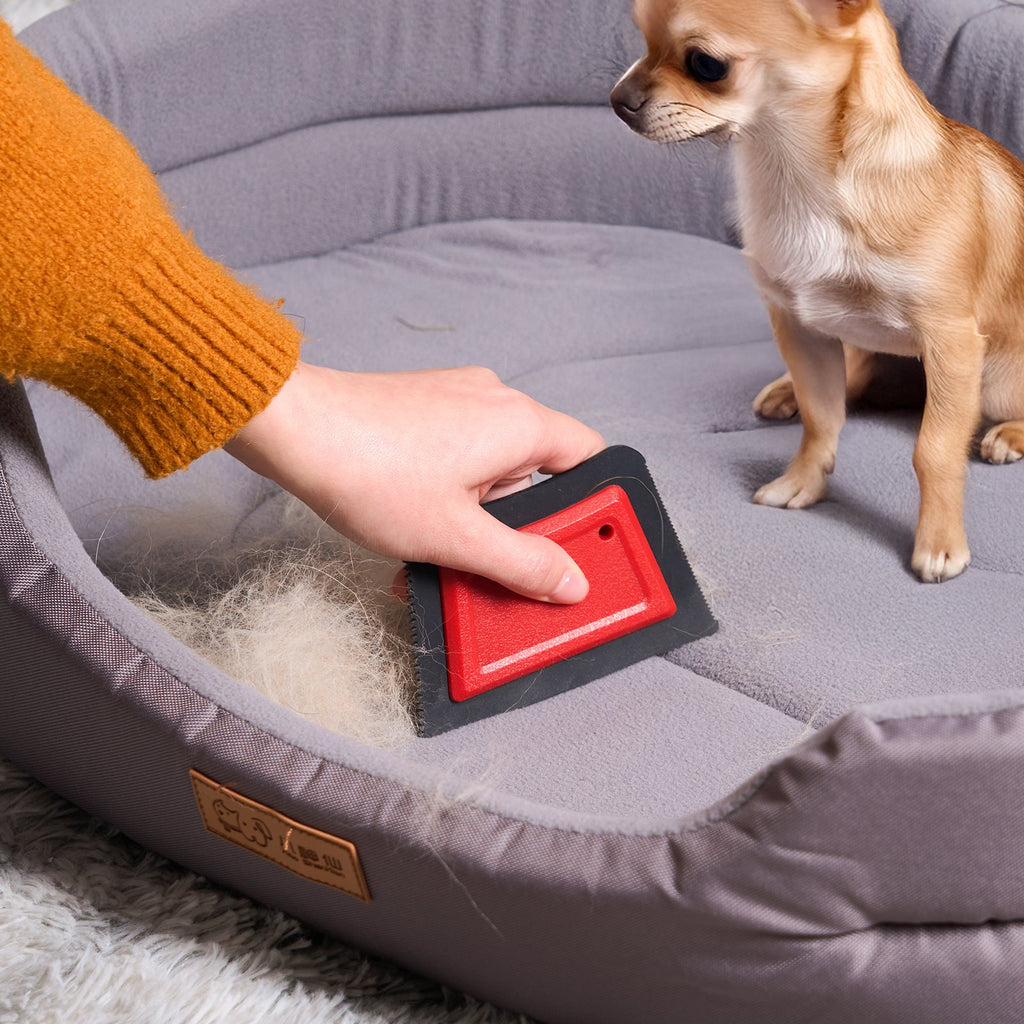 Mini Pet Hair Remover — Reusable Couch & Rug Tool