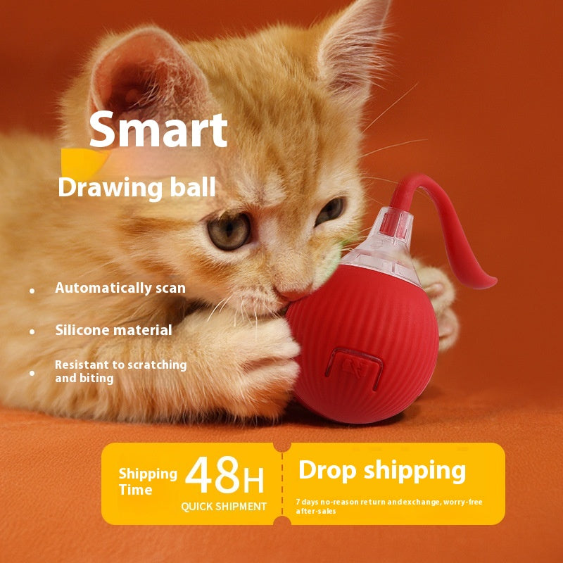 Interactive Rolling Ball Cat Toy — Endless Chase Fun